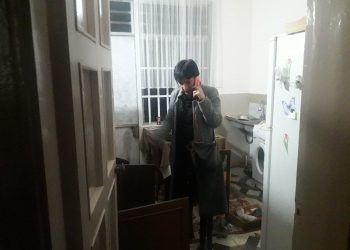 ოზურგეთში ჟურნალისტ ნატო გოგელიას სახლი დაარბიეს