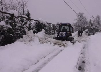 გურიის ახალი ამბები – 17.02.2023
