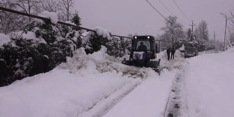 გურიის ახალი ამბები – 17.02.2023