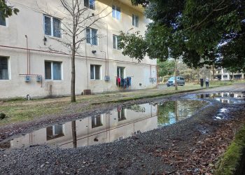 ‘’ეტლით მოსარგებლე გზაზე დამდგარ წყალში ჩავარდა და კარგა ხნის გასვლის შემდეგ ამოვიყვანეთ, ლამის დაიხრჩო.’’ – რას ითხოვენ ოზურგეთის სოციალური საცხოვრისის მობინადრეები