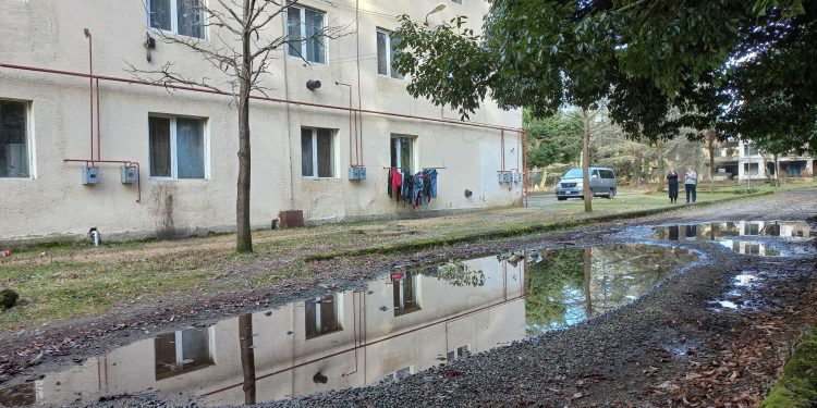 ‘’ეტლით მოსარგებლე გზაზე დამდგარ წყალში ჩავარდა და კარგა ხნის გასვლის შემდეგ ამოვიყვანეთ, ლამის დაიხრჩო.’’ – რას ითხოვენ ოზურგეთის სოციალური საცხოვრისის მობინადრეები