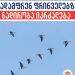 1-ელი მარტიდან გადამფრენ ფრინველებზე ნადირობა აკრძალულია