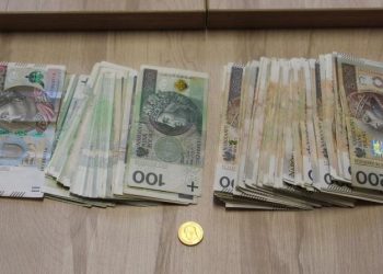 პოლონეთში ხანდაზმულებისთვის თანხის გამოძალვის ბრალდებით საქართველოს მოქალაქე დააკავეს