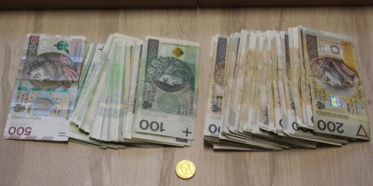 პოლონეთში ხანდაზმულებისთვის თანხის გამოძალვის ბრალდებით საქართველოს მოქალაქე დააკავეს