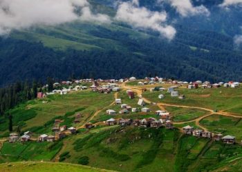 დაბა გომისმთაში, მიწების თაღლითურად დაუფლების კიდევ შვიდი ფაქტი გამოავლინდა