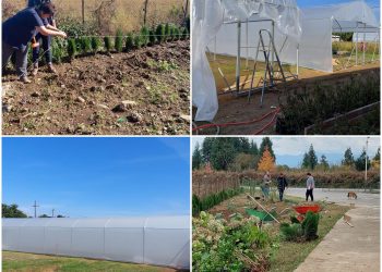 ”გარდენია გურიელი” – ოზურგეთში მალე ახალი ობიექტი ამოქმედდება