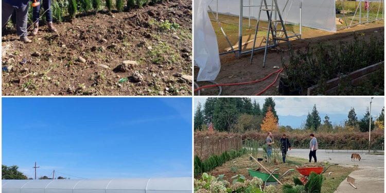 ”გარდენია გურიელი” – ოზურგეთში მალე ახალი ობიექტი ამოქმედდება