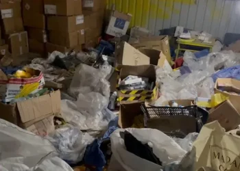 ყალბი დოკუმენტების დამზადება, უაქციზო სიგარეტის შენახვა-რეალიზაციიის ფაქტი – დაკავებულია 5 პირი