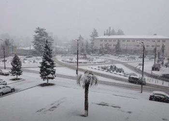 გურიის ახალი ამბები -15.02.2023