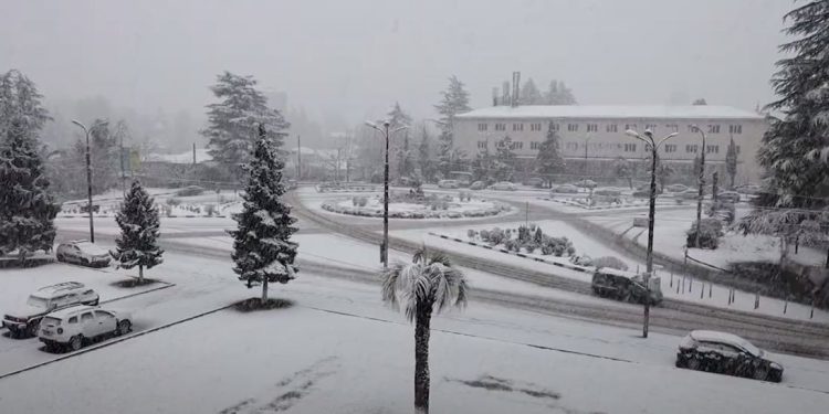 გურიის ახალი ამბები -15.02.2023