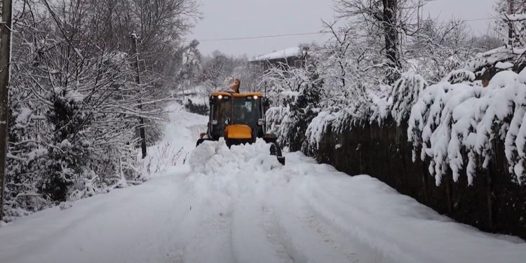დიდთოვლობამ გურიის მაღალმთიან სოფლებში გადაადგილების პრობლემა შექმნა