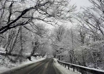 ვაზიანი-გომბორი-თელავის საავტომობილო გზაზე მსუბუქი ავტომობილებისთვის შეზღუდვები დაწესდა
