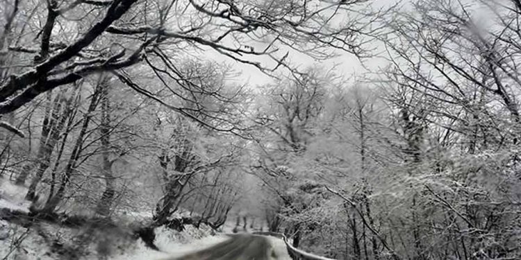 ვაზიანი-გომბორი-თელავის საავტომობილო გზაზე მსუბუქი ავტომობილებისთვის შეზღუდვები დაწესდა