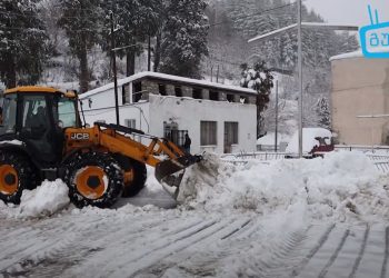 დიდთოვლობა გურიაში- რა ვითარებაა რეგიონში