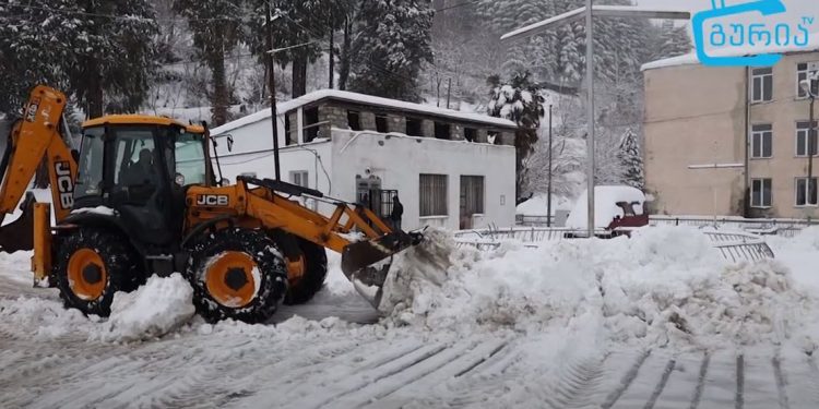 დიდთოვლობა გურიაში- რა ვითარებაა რეგიონში