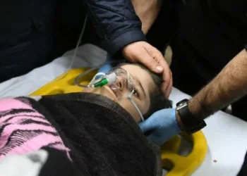 მაშველებმა თურქეთში ნანგრევებიდან 3 ცოცხალი ადამიანი, მათ შორის 14 წლის ბავშვი ამოიყვანეს