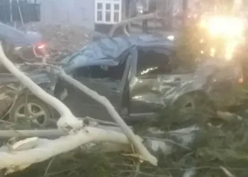 ბათუმში ძლიერმა ქარმა ხეები წააქცია