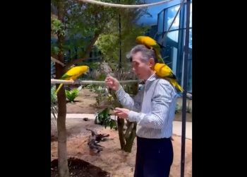 ცოტნე ივანიშვილი ინსტაგრამზე მამის ვიდეოს აქვეყნებს