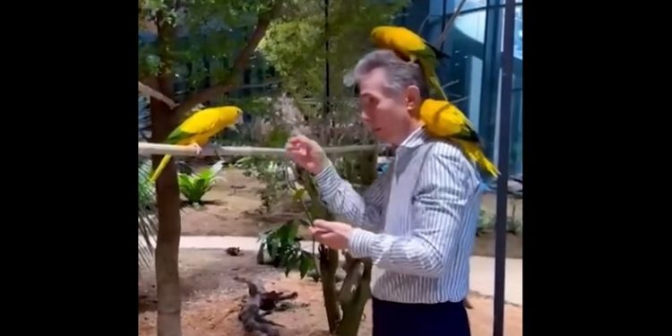 ცოტნე ივანიშვილი ინსტაგრამზე მამის ვიდეოს აქვეყნებს