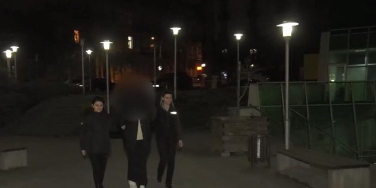 თავდასხმის ინსცენირებით, 150 000 ლარის მითვისების ფაქტზე ბუღალტერი დააკავეს
