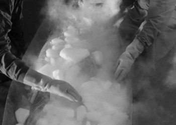 სხეულის გაყინვა სიკვდილის შემდეგ 28 000 დოლარი ეღირება