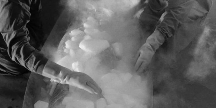 სხეულის გაყინვა სიკვდილის შემდეგ 28 000 დოლარი ეღირება