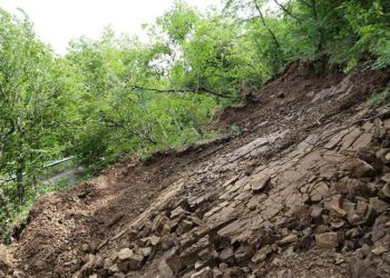 მეწყერის გამო, რიკოთის გვირაბის შემოსავლელ გზაზე ყველა სახის ტრანსპორტის გადაადგილება აიკრძალა – გზების დეპარტამენტი