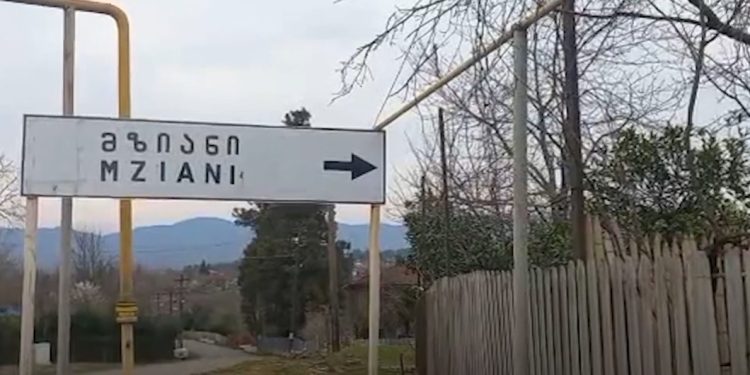 საზოგადოებრივი ტრანსპორტის პრობლემა სოფელ მზიანში