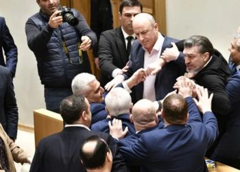 პარლამენტში დეპუტატები ერთმანეთს სიტყვიერად და ფიზიკურად დაუპირისპირდნენ (ვიდეო)