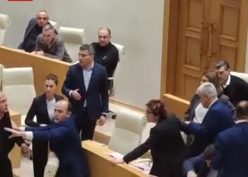 ტარიელ ნაკაიძეს მიკროფონი უმრავლესობის კიდევ ერთმა წევრმა ესროლა-პარლამენტის სხდომა