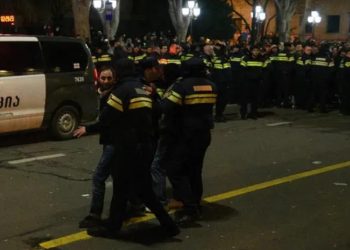 შსს – პარლამენტის მიმდებარედ გამართულ აქციებზე ადმინისტრაციული წესით დაკავებული ყველა პირი გათავისუფლდა