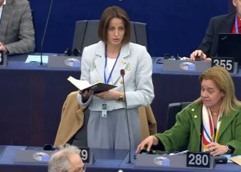 “მსოფლიომ იხილა თავისუფლებისთვის მებრძოლი ქართველი ხალხი, რომელიც დაუპირისპირდა რუსულ კანონს” – თათია ნიკოლაიშვილის სიტყვით გამოსვლა სტრასბურგში