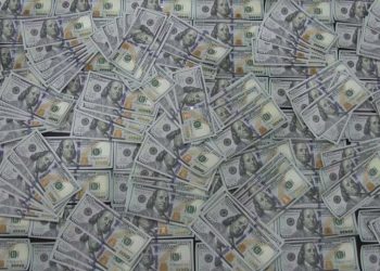 დიდი ოდენობით ყალბი დოლარის გასაღების ფაქტზე ერთი პირი დააკავეს