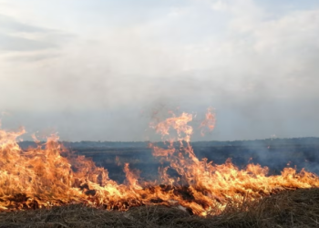 სასოფლო–სამეურნეო მიწებზე ცეცხლის დანთებისთვის ჯარიმა 1 000 ლარი იქნება