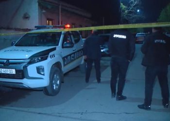 დააკავეს 18 წლის ბიჭი, რომელმაც 71 წლის მეზობელი სანადირო თოფით მოკლა