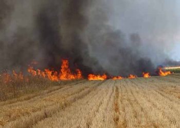 სასოფლო-სამეურნეო ნაკვეთებზე, ცეცხლის წაკიდების შემთხვევაში ჯარიმები წესდება