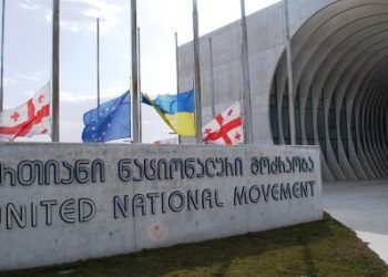 „ეს იყო დასჯა ნიკა მელიას მხარდაჭერის გამო“ – სიღნაღის საკრებულოს ფრაქცია ენმ-ს თავმჯდომარის მოადგილე გაათავისუფლეს