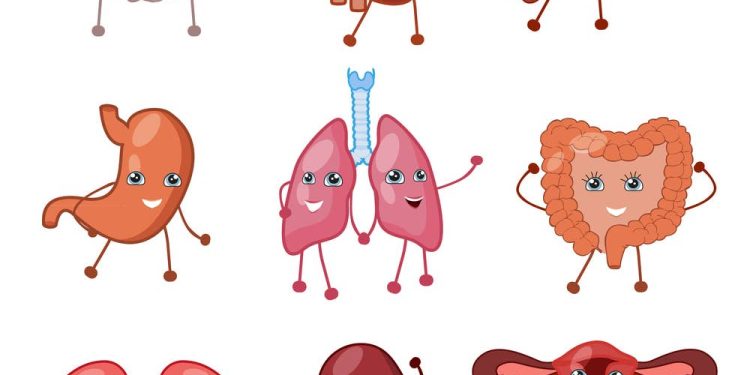 ტესტი – გამოიცანი ვინ რისი ექიმია