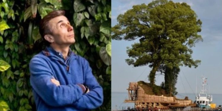 კენიის პარლამენტში ივანიშვილის ბაობაბების საქმეზე გამოძიება დაიწყეს