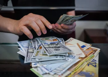 ნახეთ, რა ეღირება დღეს დოლარი და ევრო