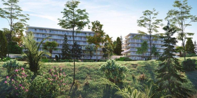 სამშენებლო ნებართვის მისაღებად დოკუმენტებში გამწვანების პროექტი სავალდებულო გახდება