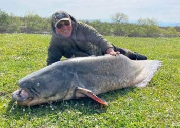 სამეგრელოში 69 კილოგრამი გიგანტური ლოქო დაიჭირეს