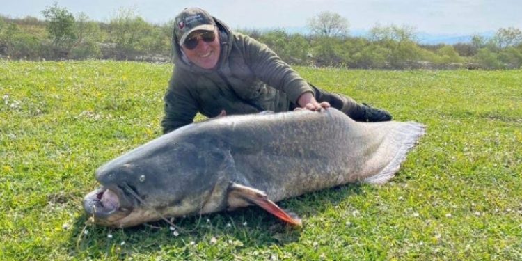 სამეგრელოში 69 კილოგრამი გიგანტური ლოქო დაიჭირეს