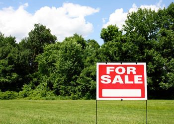 3 თვეში რუსეთის მოქალაქეებმა საქართველოში 1 256 მიწის ნაკვეთი იყიდეს – როგორია გასული წლის მაჩვენებელი