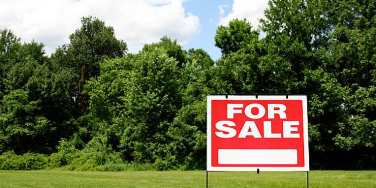 3 თვეში რუსეთის მოქალაქეებმა საქართველოში 1 256 მიწის ნაკვეთი იყიდეს – როგორია გასული წლის მაჩვენებელი