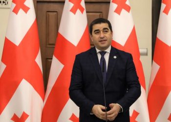 ჩვენი მოლოდინია, რომ ან წარმოდგენილი იქნება მტკიცებულებები, ან გაუქმდეს შემზღუდველი ზომა – პაპუაშვილი