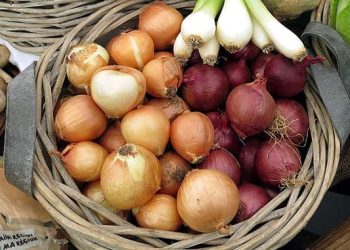 რატომ გაძვირდა ხახვი საქართველოში