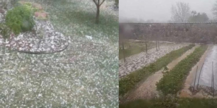 ძლიერი სეტყვა კახეთში – კადრები ადგილიდან