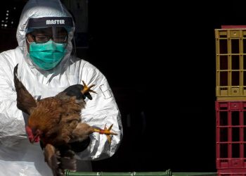 ჩინეთში ფრინველის გრიპით გარდაცვალების პირველი შემთხვევა დაფიქსირდა