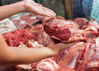 როგორი ხორცი და თევზი არ უნდა შევიძინოთ – სურსათის ეროვნული სააგენტოს სააღდგომო რეკომენდაციები